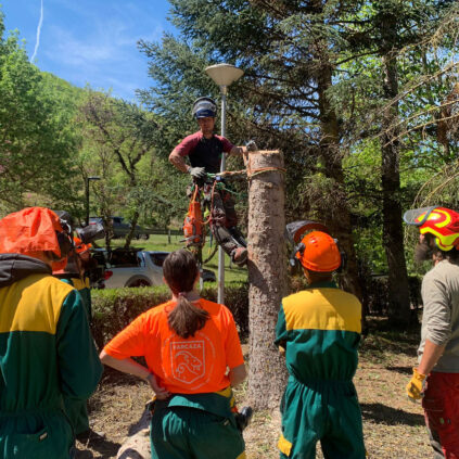 instructor de sustraimendi dando una clase de escalada de arboles