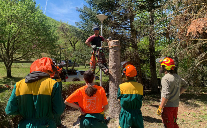 instructor de sustraimendi dando una clase de escalada de arboles
