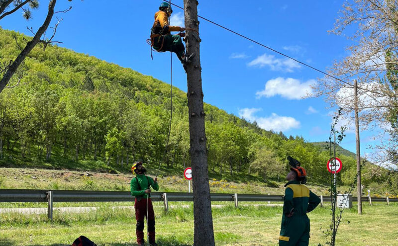 jóvenes practicando la escalada de un árbol bajo la supervisión de instructores de sustraimendi