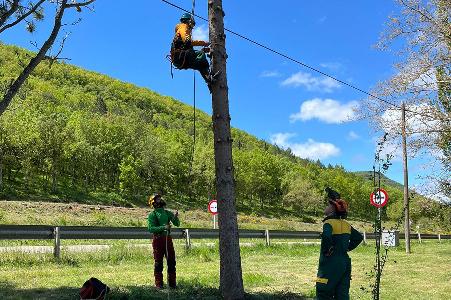 jóvenes practicando la escalada de un árbol bajo la supervisión de instructores de sustraimendi