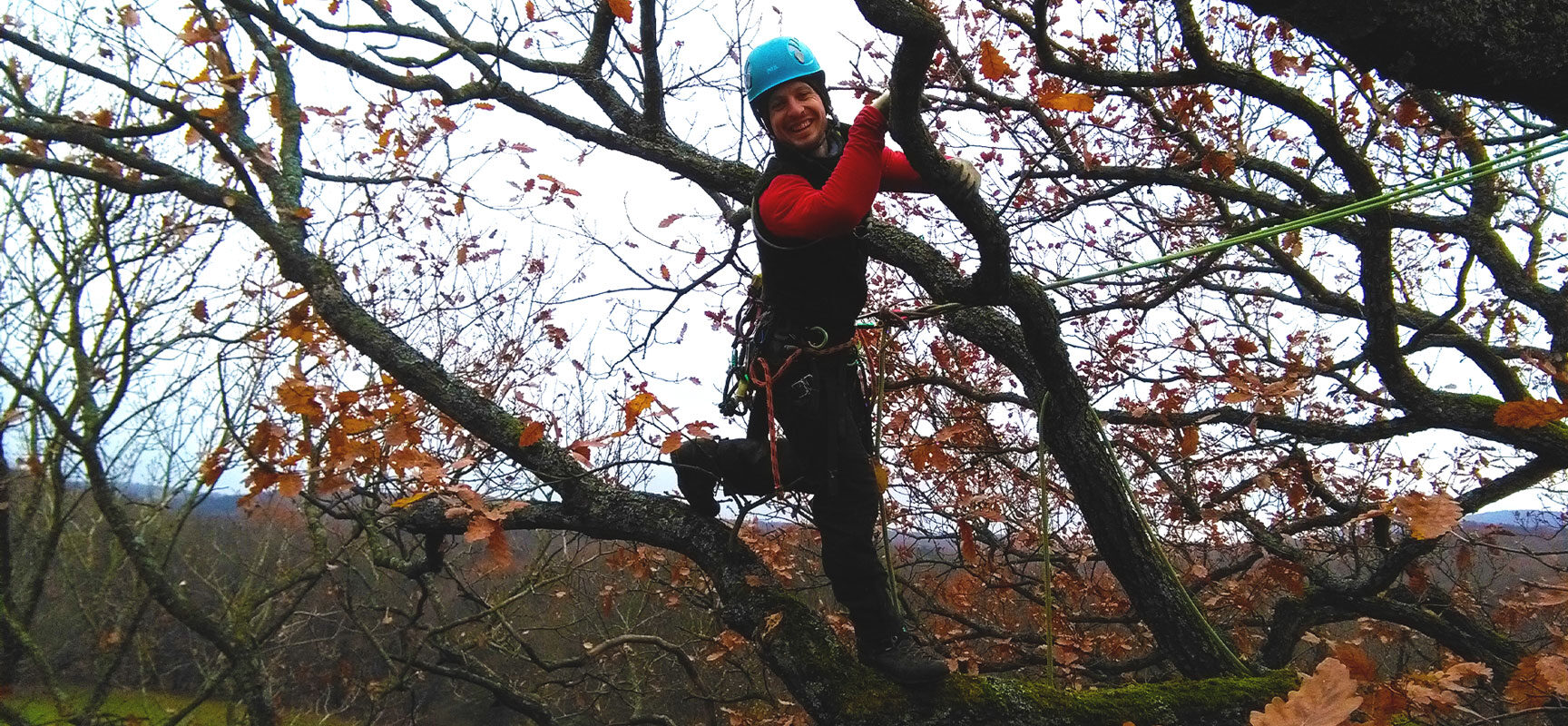 hombre posando feliz agarrado de forma cómica a un árbol