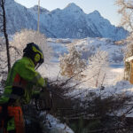 hombre trabajando en la nieve cortando un árbol con una motosierra