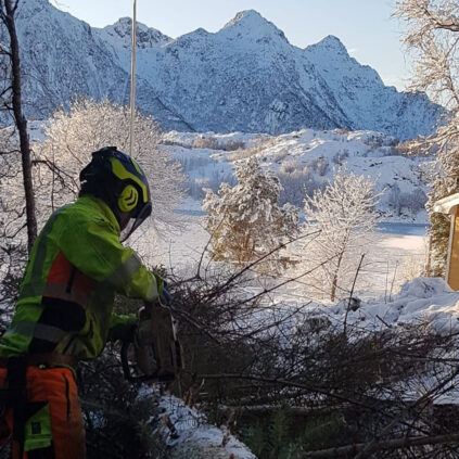 hombre trabajando en la nieve cortando un árbol con una motosierra