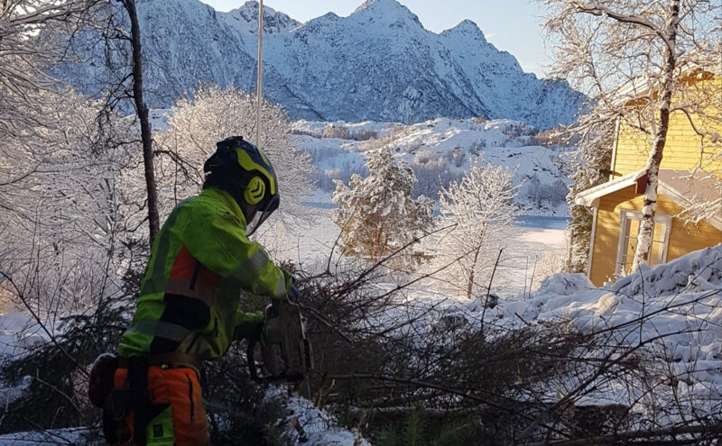 hombre trabajando en la nieve cortando un árbol con una motosierra