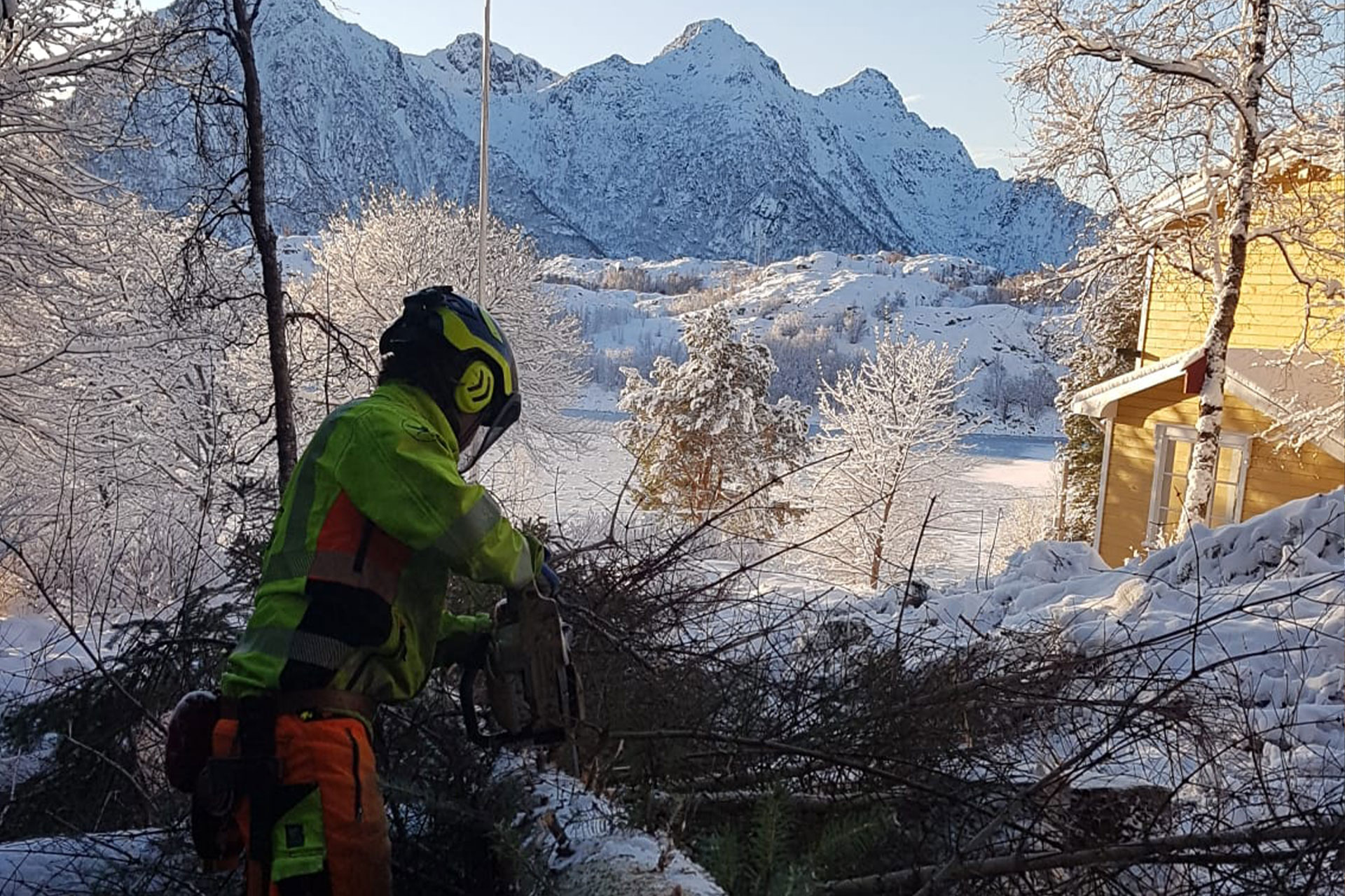 hombre trabajando en la nieve cortando un árbol con una motosierra