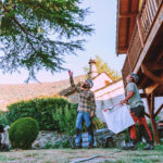 dos hombre diagnosticando un árbol en la casa de un particular