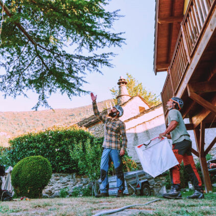 dos hombre diagnosticando un árbol en la casa de un particular
