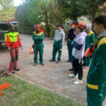 clase sobre la manipulación y mantenimiento de una motosierra