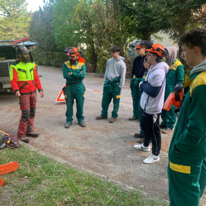 clase sobre la manipulación y mantenimiento de una motosierra