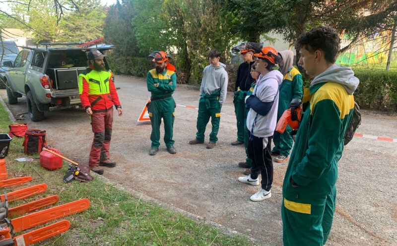 clase sobre la manipulación y mantenimiento de una motosierra