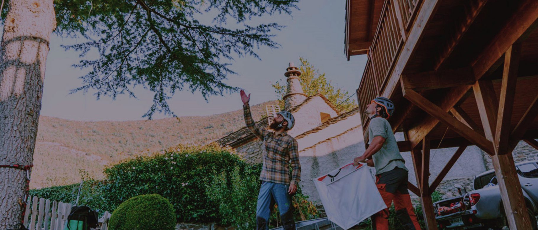 dos hombres valoran la situacion de un arbol en una vivienda privada